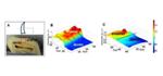 New FastRam Device Allows Rapid Imaging of Materials