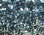 Nikon Microscope Allows Rock Samples to be Categorised More Efficiently for Geological Research
