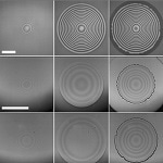 Time-Resolved Imaging Reveals Bubble Entrapment Process