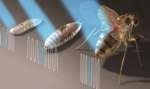 Laser Pacemaker Could One Day Noninvasively Stimulate the Human Heart with Light Signals
