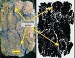 Multistripe Laser Triangulation Scanner Could be Used to Predict Water Movement through Soil