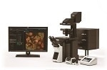 The New FLUOVIEW FV3000 – Faster, Simpler and Better Confocal Imaging
