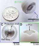 Engineers Create Artificial Eye Capable of Seeing in Dark