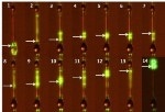 New Technique Paves Way for Simple Serial Production of Glass Microlasers