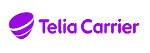 CyrusOne Customers Now Get Access to Telia Carrier’s 100G Connectivity Options