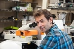 Raman Spectroscopy used to Detect Radiation Damage in Cells and Tissues During Cancer Treatment.