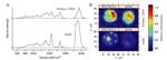 Researchers Develop Inexpensive, Versatile Micro-Raman System