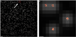 Breakthrough qPAINT Technology Provides Super-Vision to Microscopes