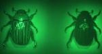 Multifunctional Ultrathin, Flat Lens Could Replace Bulky, Costly Machines Used for Testing Chirality