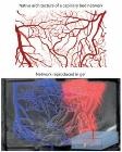 EPFL’s New Technique Combines Lasers and Microfluidics to Enhance Tissue-Engineering