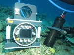 New Underwater Microscope Helps Capture Seafloor Inhabitants at Nearly Micrometer Resolution