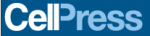 New Study Emphasizes Importance of Environmental Light-Dark Cycle for Health