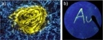 Scientists Develop Series of Luminescent Compounds that Change Emission Colors upon Mechanical Stimuli