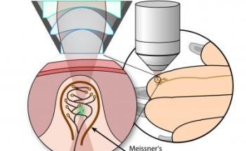 Researchers Develop Two-Photon Imaging Method to Observe Meissner's Corpuscles in Living Skin
