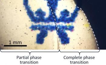 New Optical Material Could Potentially Transform Optoelectronic Technologies
