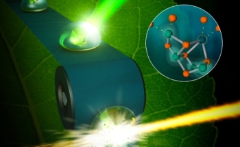 SLAC's X-ray Laser Captures Detailed Snapshots of Photosynthesis in Real-World Conditions
