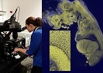 Prior Scientific Supplies Key Accessories for Novel Optical Microscope