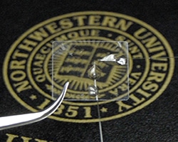 New Device May Play Vital Role in Photoacoustic Imaging for Many Biomedical Applications