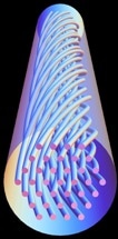 Scientists Apply Einstein's Theory to Guide Light Through Photonic Crystal Fibers