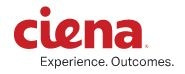 Ciena Introduces Liquid Spectrum to Tune, Control and Dynamically Adjust Optical Network Capacity