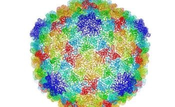 New Computational Methods Enable Cryo-Electron Microscopy to Achieve Unprecedented Resolution