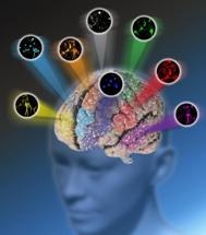 Innovative Platform for Overcoming Light Microscopy Color Barrier