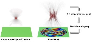 Laser-Based Optical Manipulation Technique for Manipulating 3D Motion of Living Cells