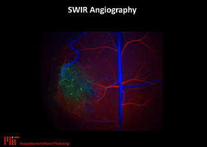 MIT Researchers Use Deep-Cooled Princeton Instruments FPA Camera To Advance In Vivo Imaging in the SWIR