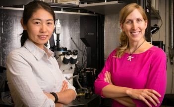 Dionne Lab is Developing an Optical Filter to Separate Mirrored Molecules