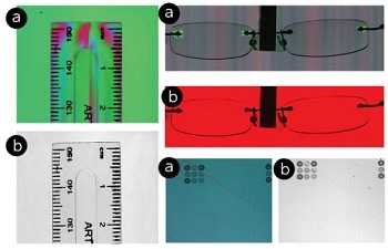 Teledyne DALSA Announces Production of Industry’s First Line Scan Polarization Camera