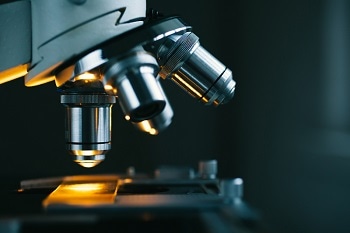 Cryo-Electron Microscopy Allows Imaging Objects too Small to be Seen by Light Microscopes