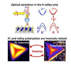 Monolayer TMDs Show Promise for Future Applications in Electronic, Optoelectronic Technologies