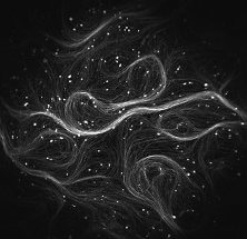 New Microscope Optimized to Perform Studies Using Optogenetic Methods