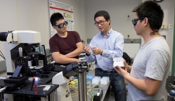 WPI Researchers Developing Miniaturized Fiber Optical Tweezers to Detect Cancer at Early Stages