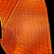 Optical Efficiency in Nanophotonic Devices Enhanced by NRL