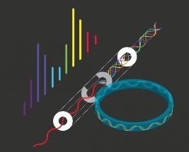 Mathematical Model Describes the Process of Soliton Occurrence in Optical Microresonators