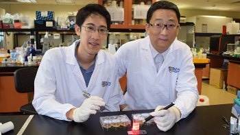 Light Delivery to Suppress Deep Tumor Growth