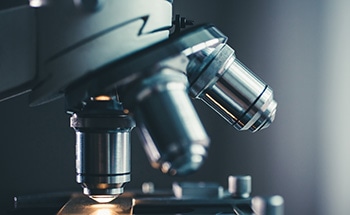 New Microscopy Technique Allows Us to See Inside Cells