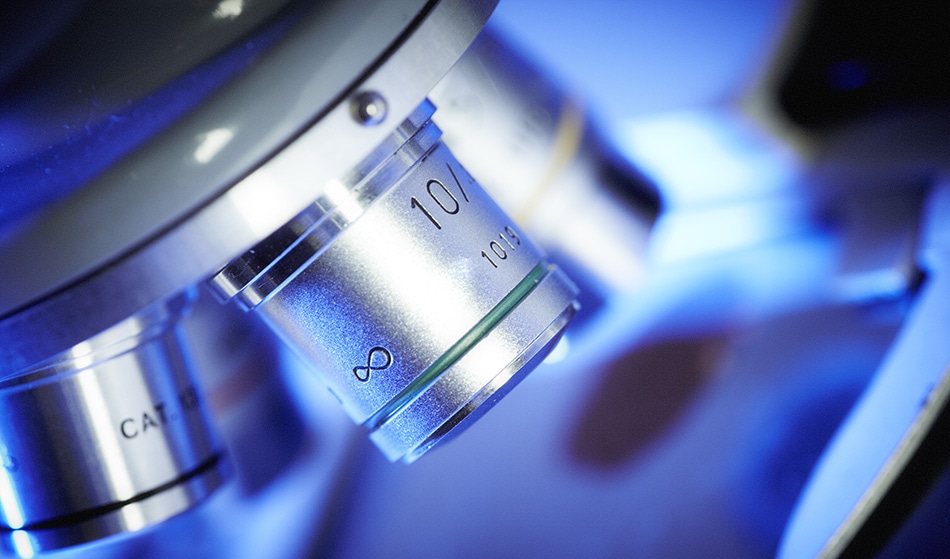 Observing Cell-Scale Chemical Reactions with Super-Resolution Microscopy