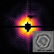 Laser Light Used to Develop First Ever X-Ray Holographic Images of Mimivirus