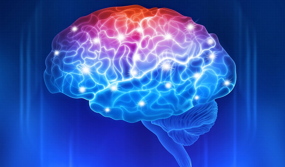SUSHI for the Brain - Imaging Brain Cells