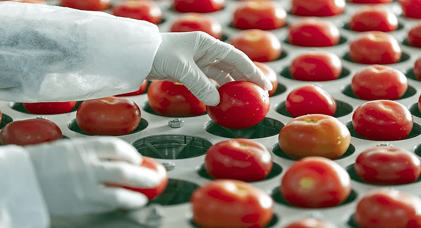 Extrusion Technology in Food Processing at ZDS in Solingen, Germany