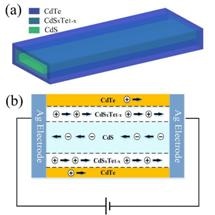 CdS-Based Nanobelt Photodetector Possesses Higher Sensitivity and Fastest Response Speed