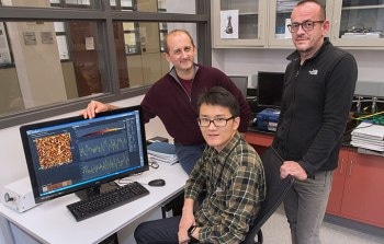 Study Shows Electrically Conductive Polymer Nanostructures Could be Better Light Detectors