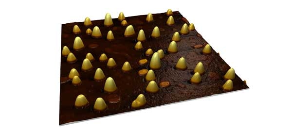 Digital Surf and Image Metrology announce MountainsSPIP 8TM software