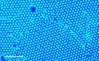 New, Low-Cost Technique Uses Ultraviolet Light to Control Particle Motion and Assembly within Liquids