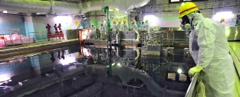 Testing Radiation Resistance Without Using a Nuclear Reactor
