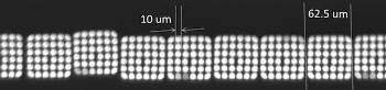 New Portable Spectrometer Captures Real-Time Hyperspectral Data Instantly