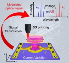 Optoelectronic Integration Paves Way for Next-Generation Integrated Circuits