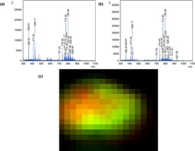 First Mass Spectrometry Images Recorded Using the Matrix-Assisted Ionization in Vacuum Technique